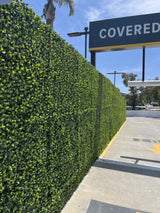 Jasmine Hedge Screen Green Wall Panel UV Resistant 100cm x 100cm