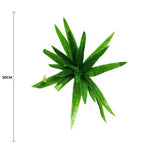 Aloe Vera Stem 30cm