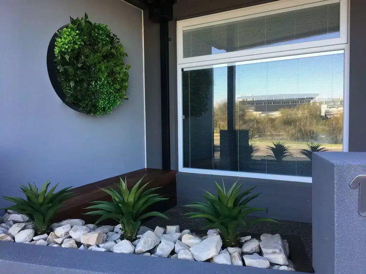 A modern outdoor wall-mounted circular greenery planter with lush green foliage, mounted on a gray exterior wall next to a large window with white frames.
