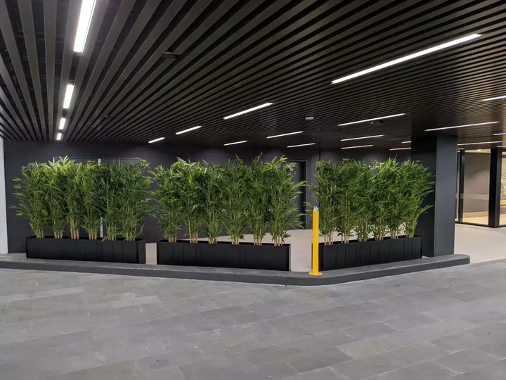 A row of green bamboo plants in long black rectangular planters arranged along a curved wall in a modern indoor space with a dark slatted ceiling and gray tiled floor.