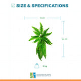Artificial Boston Hanging Fern 102cm