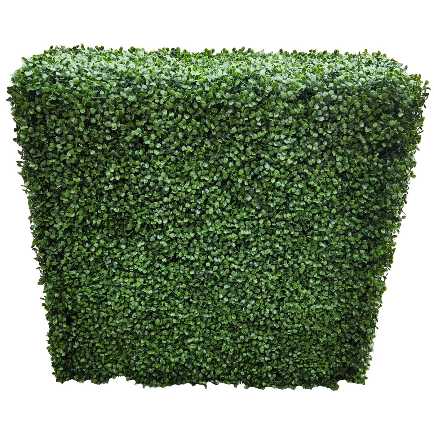 Portable Boxwood Hedge UV Resistant 100cm Long x 100cm High