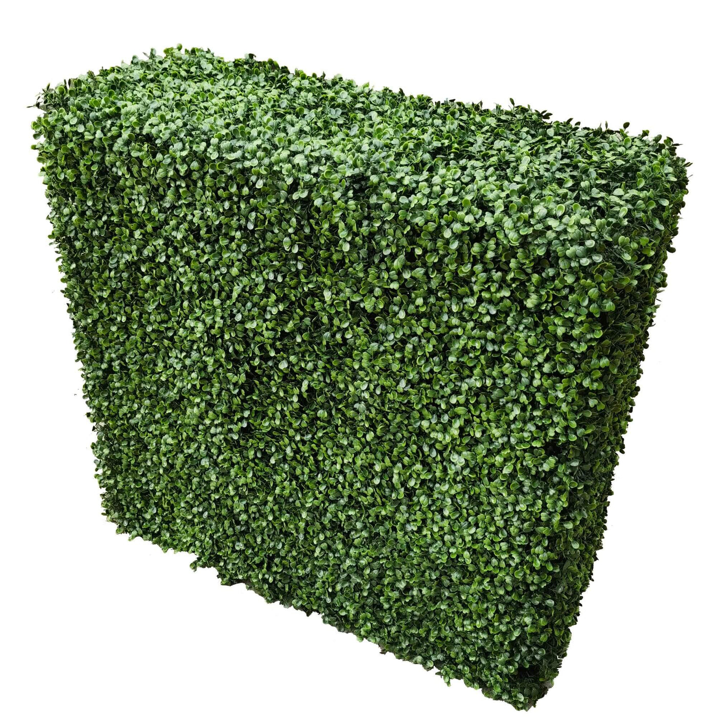Portable Boxwood Hedge UV Resistant 100cm Long x 100cm High - Designer Plants