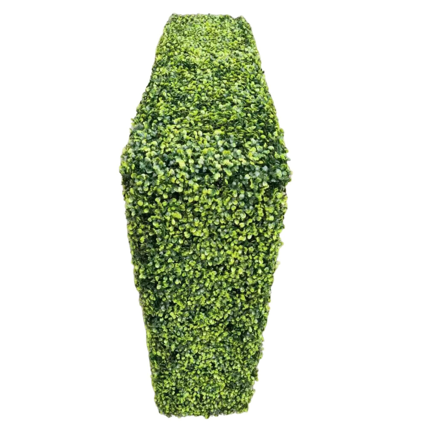 Mixed Boxwood Hedge UV Resistant 75cm Long x 75cm High