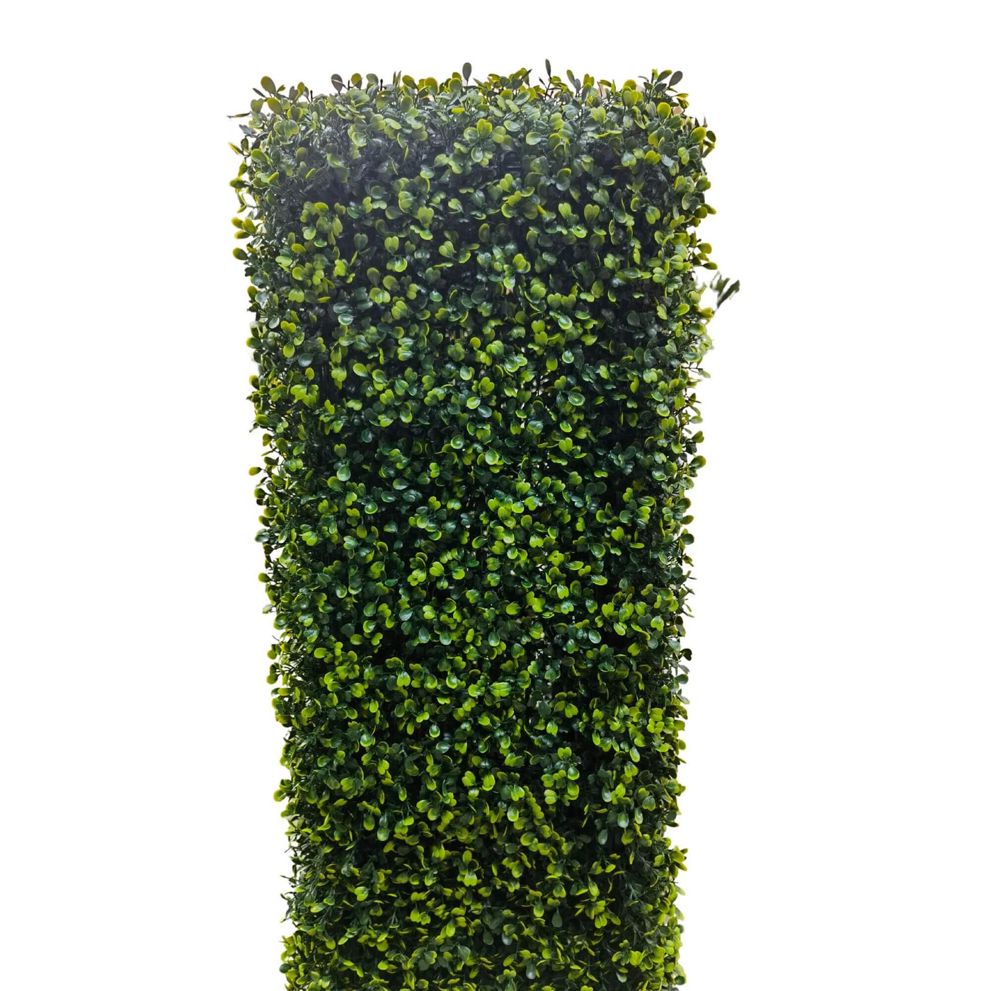 Mixed Boxwood Hedge UV Resistant 75cm Long x 75cm High