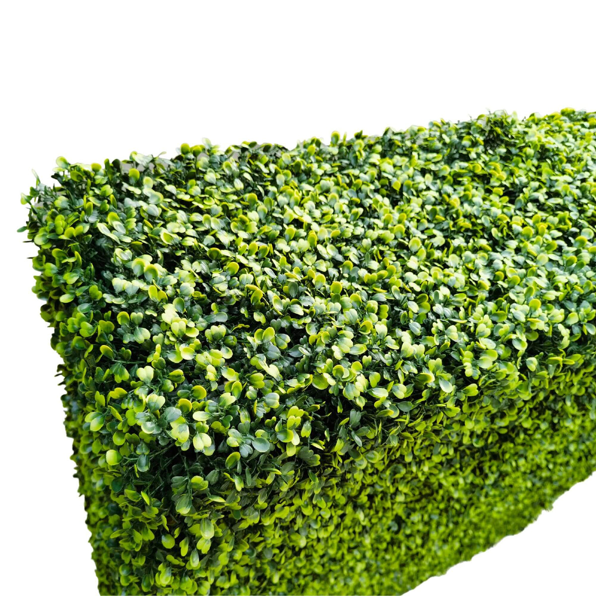Mixed Boxwood Hedge UV Resistant 75cm Long x 75cm High