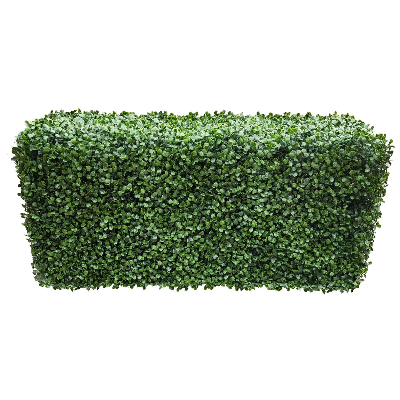 Portable Boxwood Hedge UV Resistant 100cm Long x 50cm High