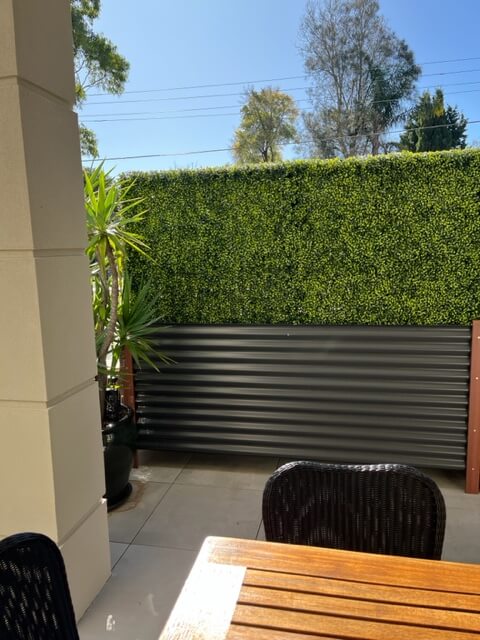 Large Portable Mixed Boxwood Hedge 1.5m by 1.5m UV Resistant