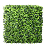 Luxury Deluxe Portable Buxus (Bright) Hedge UV Resistant 75cm x 75cm - Designer Plants