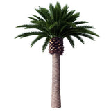 Tall Artificial Canary Palm Tree (4m to 7m) UV Resistant - Designer Plants