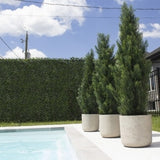 Realistic UV Resistant Topiary Trees Bundle
