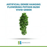 Artificial Dense Hanging Flowering Pothos Bush Vivid Green UV Resistant and Fire Rated 27cm Wide x 72cm Long