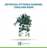 Artificial Fittonia Hanging Garland Bush 80cm