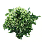 Artificial Spring Evergreen Hanging Basket UV Resistant 43cm