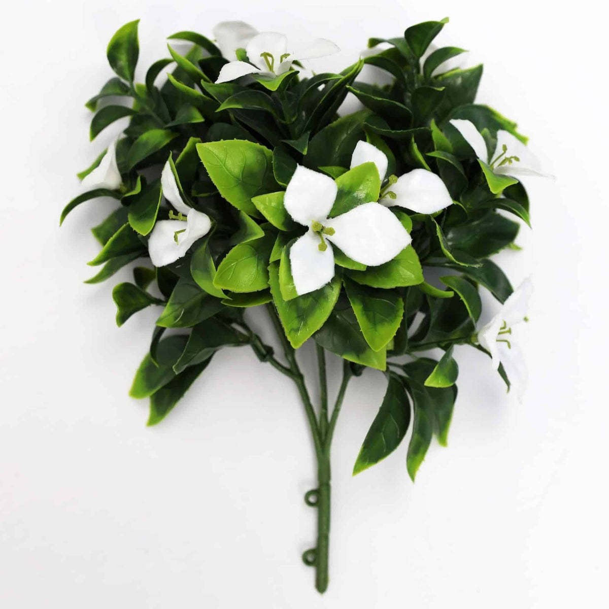 White Flowering Jasmine Stem UV Resistant 30cm - Designer Plants