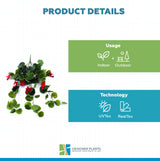 Artificial Geranium Hanging Bush with Red Flowers 60cm