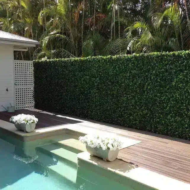 Pool area with a hedge, white flowers, and wooden deck