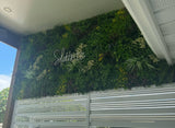 Luxury Evergreen Rainforest Recycled Vertical Garden / Green Wall UV Resistant 1m x 1m