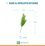 Artificial Hanging Bell Leaf Plant 80cm Long UV Resistant