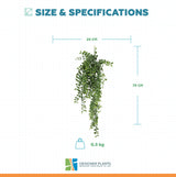 Artificial Hanging Dark Green Pearls Garland Bush UV Resistant and Fire Rated 20cm Wide x 75cm Long