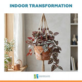 Artificial Hanging / Draping Burgundy Tradescantia Zebrina 42cm