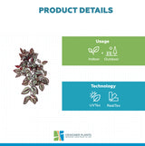 Artificial Hanging / Draping Burgundy Tradescantia Zebrina 42cm