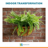 Artificial Hanging Fern Basket 30cm x 40cm Long UV Resistant