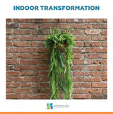 Artificial Hanging Fern Basket UV Resistant 35cm x 125cm