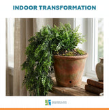 Artificial Hanging Mediterranean Fern Vine UV Resistant and Fire Rated 22cm x 76cm