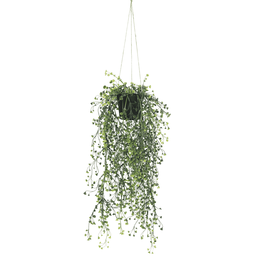 Artificial Hanging Pearls (Potted) 56cm UV Resistant - Designer Plants