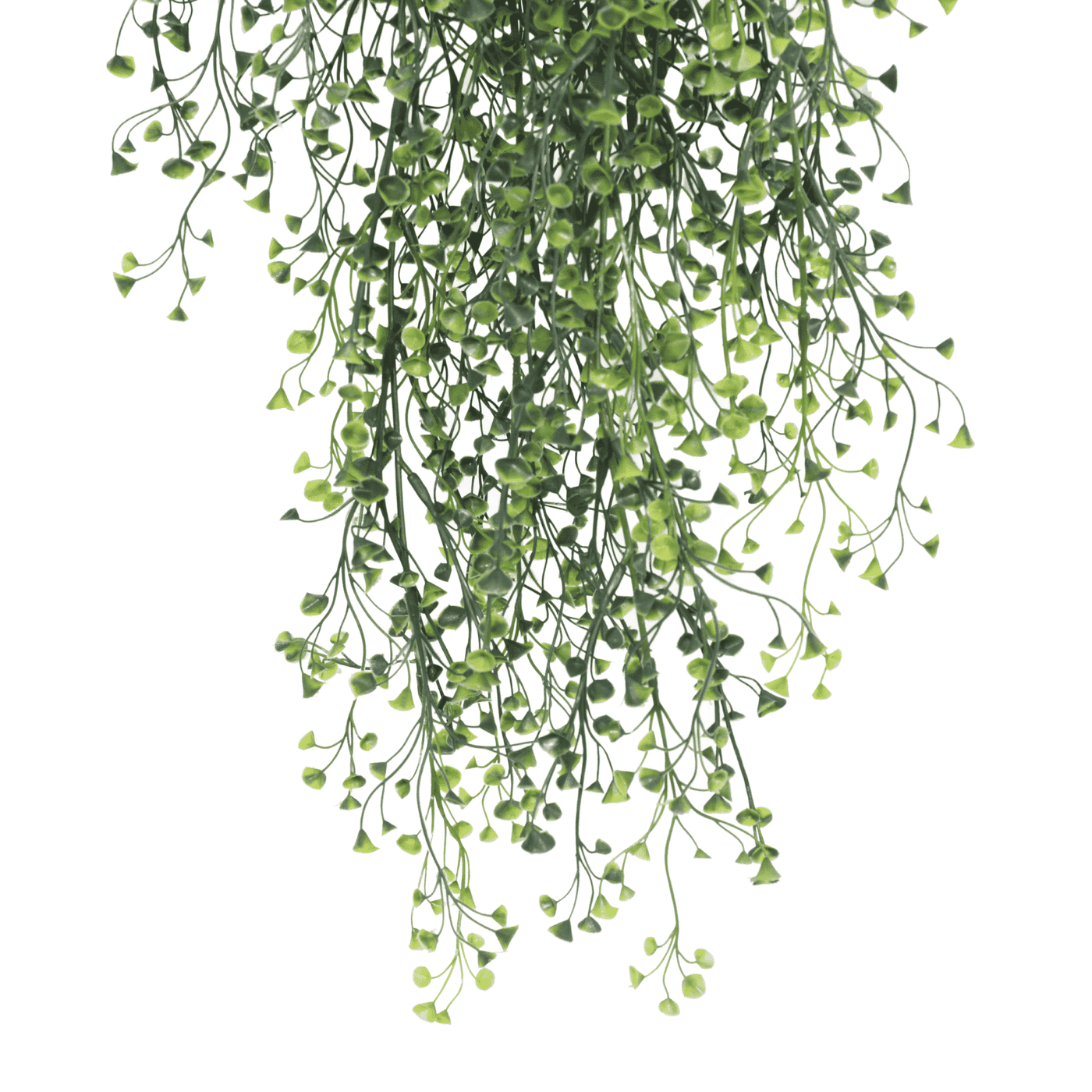 Artificial hanging plant with green leaves on a white background