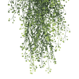 Artificial hanging plant with green leaves on a white background