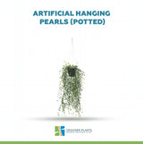 Artificial hanging plant with text 'Artificial Hanging Pearls (Potted)' on a white background, featuring the Designer Plants logo.