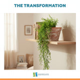Artificial Hanging Plant (Natural Green) UV Resistant 90cm