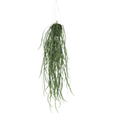 Artificial Hanging Potted Plant (Willow Leaf) 66cm UV Resistant - Designer Plants
