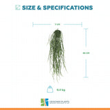 Artificial Hanging Potted Plant (Willow Leaf) 66cm UV Resistant