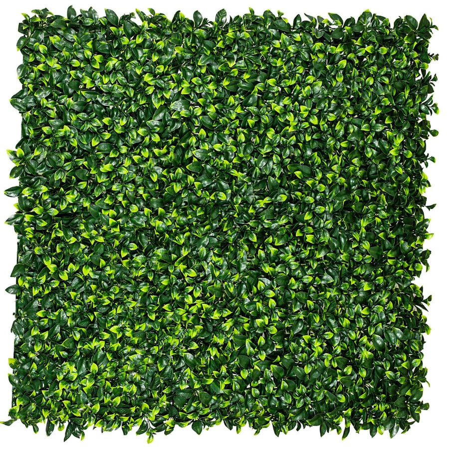 Jasmine Hedge Screen Green Wall Panel UV Resistant 100cm x 100cm - Designer Plants