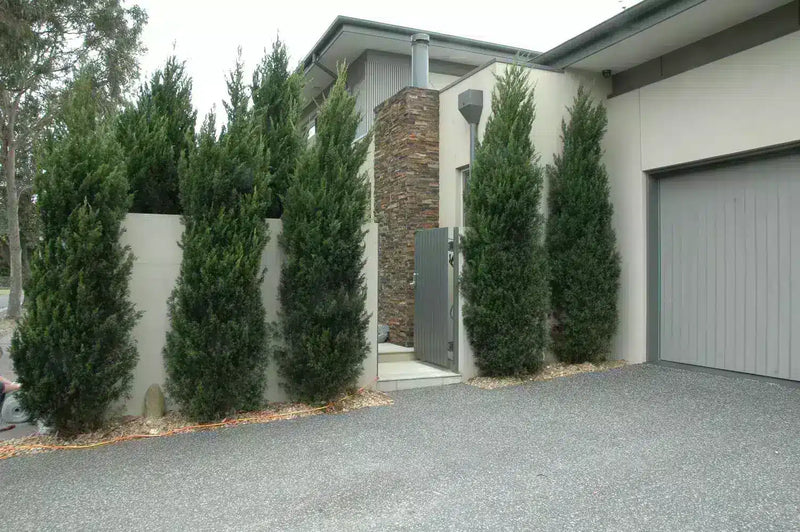 Before – Artificial ivy panels were installed