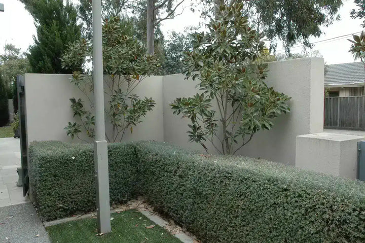 Before an artificial vertical garden was installed.