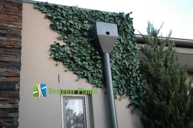 Boston Ivy Leaf Screen Green Wall Panel UV Resistant SAMPLE