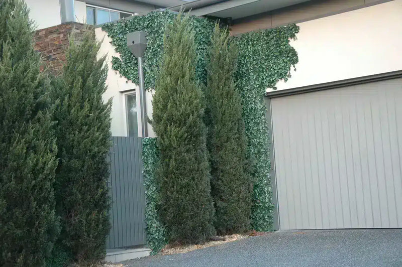 After – Customised and cut to shape artificial ivy panels were installed along a garage wall to create a creeping ivy bush