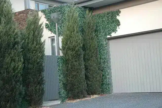 Green artificial ivy wall vine climbing on a house exterior next to tall evergreen trees and a gray garage door.