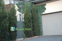 Boston Ivy Leaf Screen Green Wall Panel UV Resistant SAMPLE