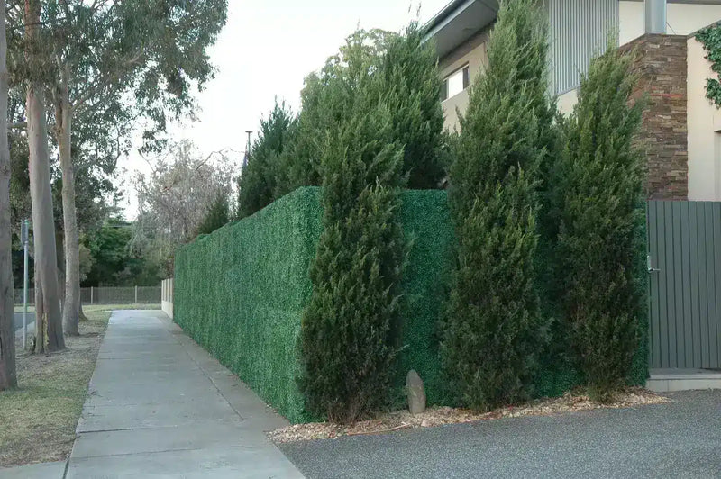 After – Boxwood screens applied to an external render fence.
