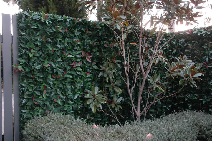 After – An Artificial vertical garden was installed using the photinia hedge panels.