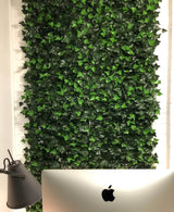 Boston Ivy Leaf Screen Green Wall Panel UV Resistant 1m x 1m