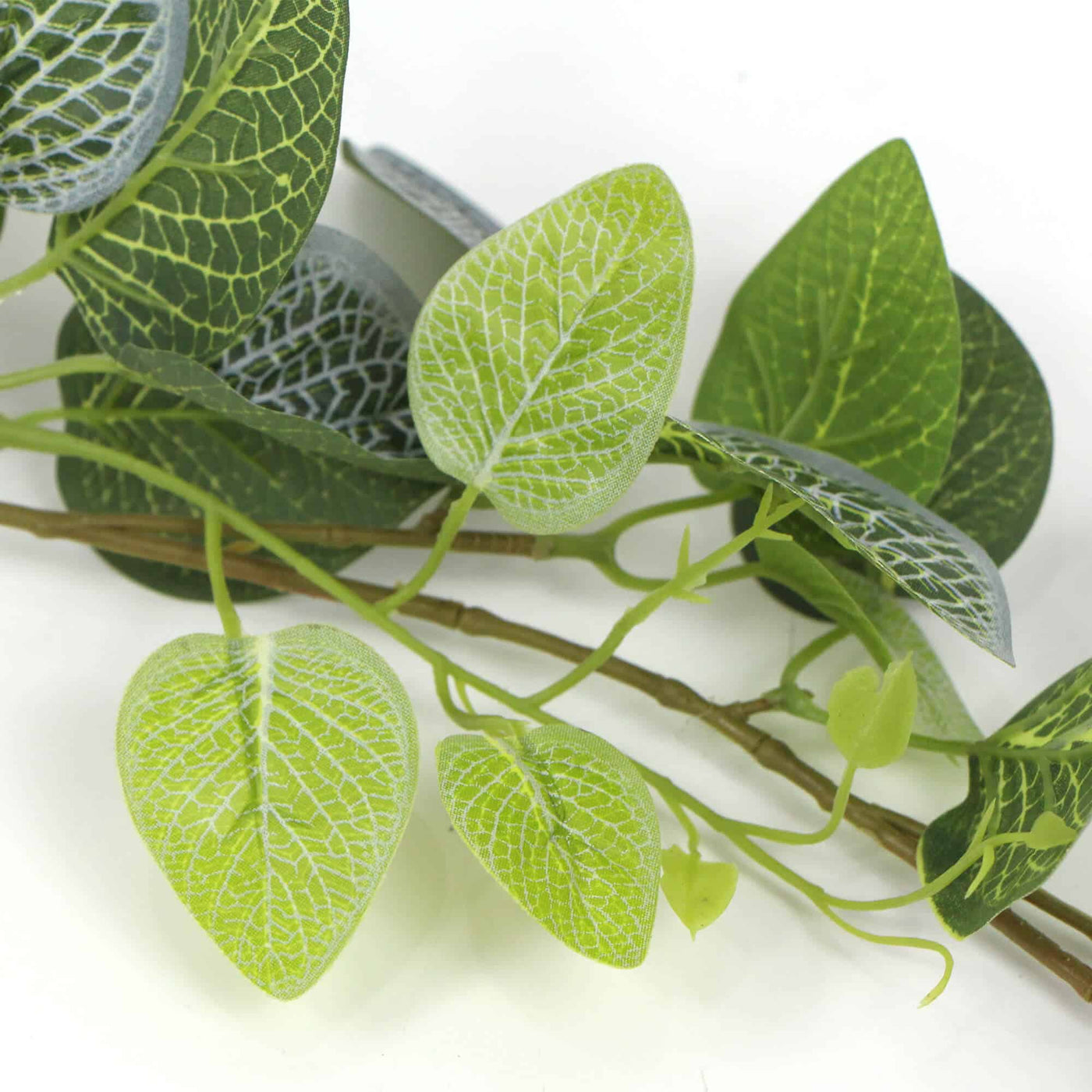 Artificial Fittonia Garland 190cm