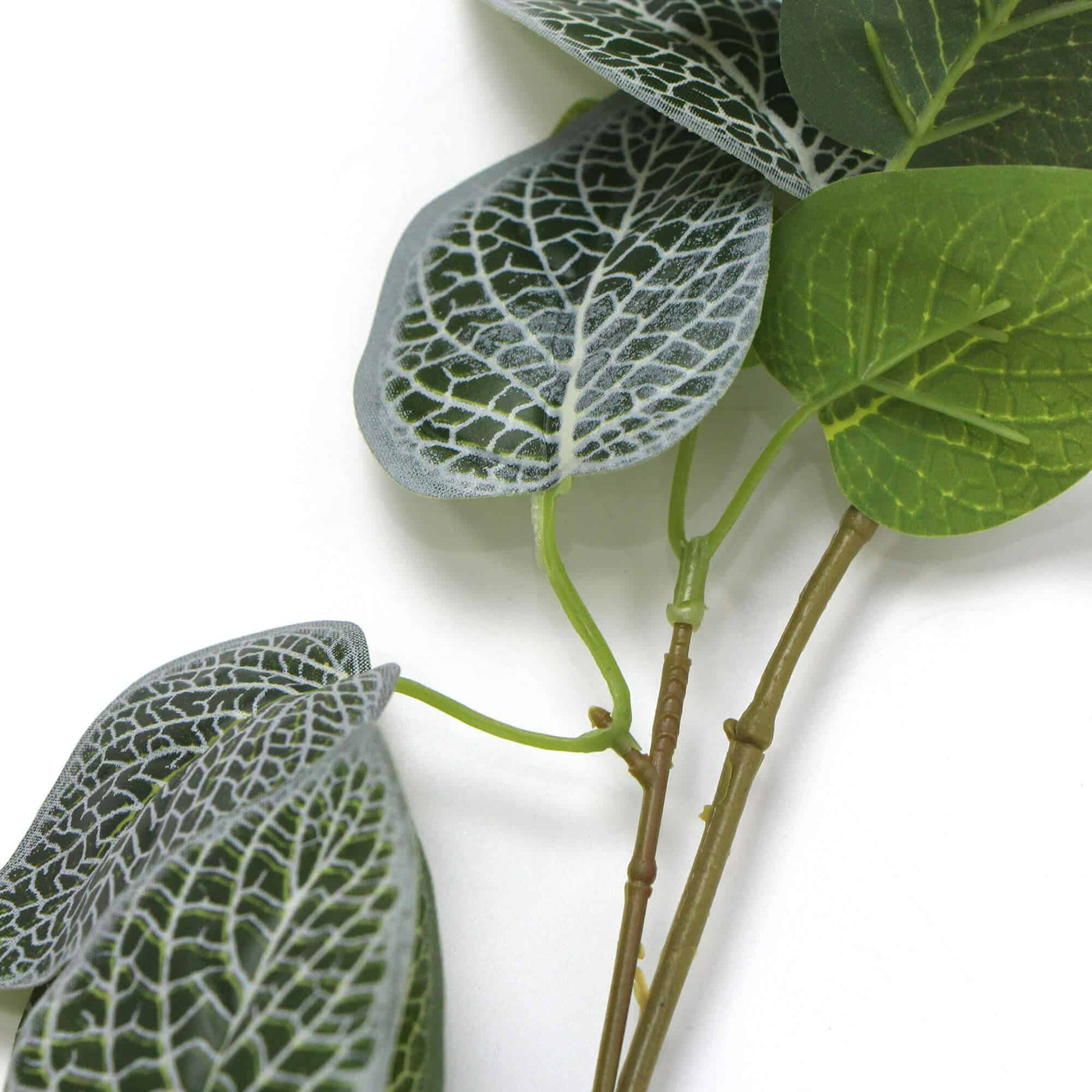 Artificial Fittonia Garland 190cm