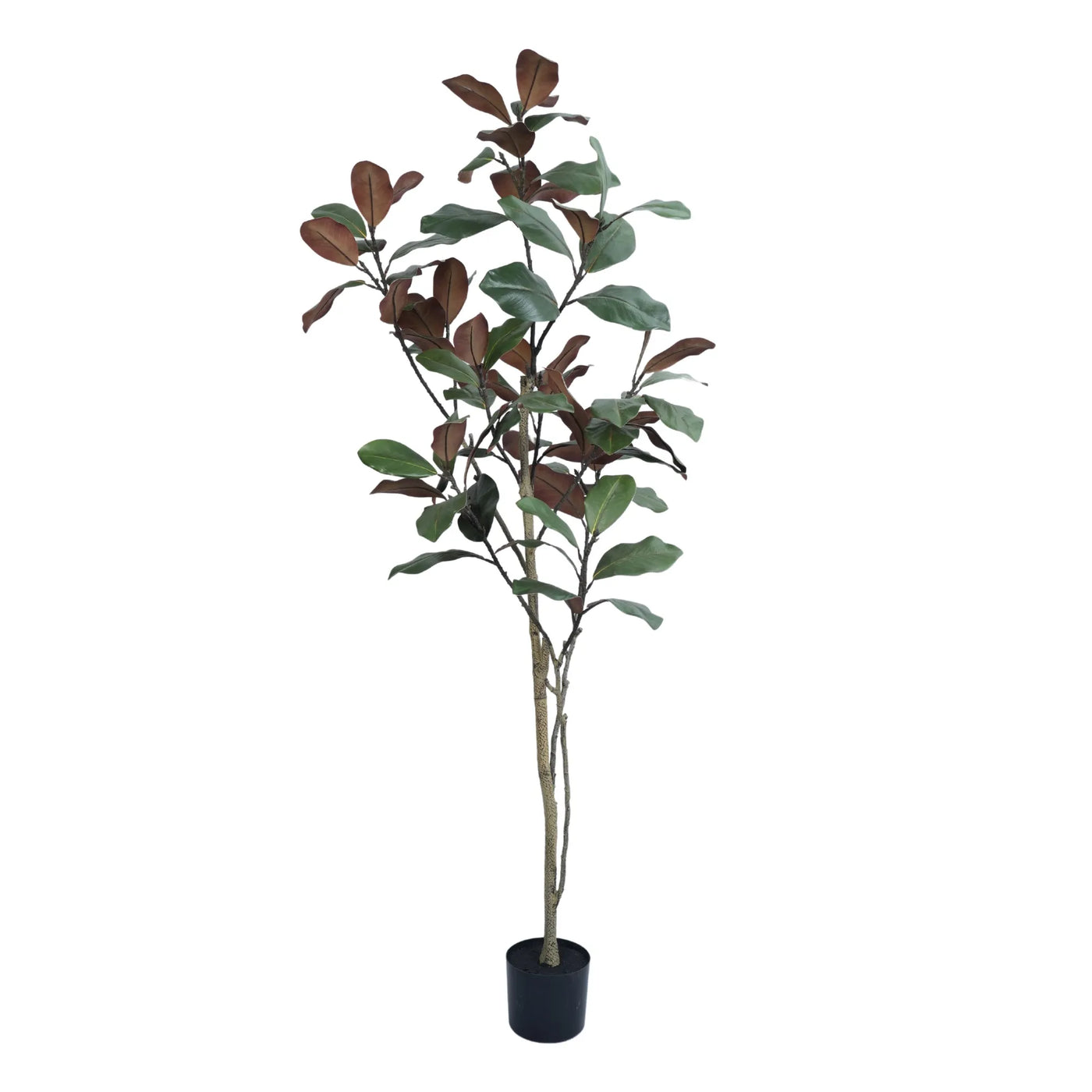 Potted Artificial 180cm Magnolia Tree