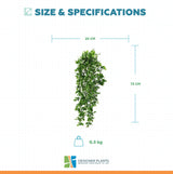 Artificial Mixed Green & White Hanging Jasmine 73cm UV Resistant